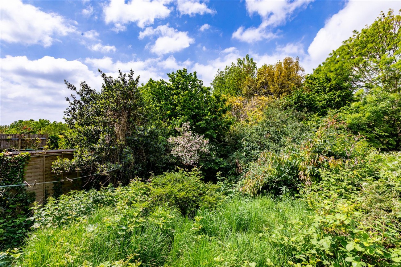 Images for Hangleton Road, Hove EAID:lextonsapi BID:1