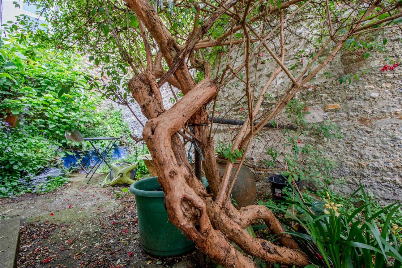 Images for Rose Hill Terrace, Brighton EAID:lextonsapi BID:2