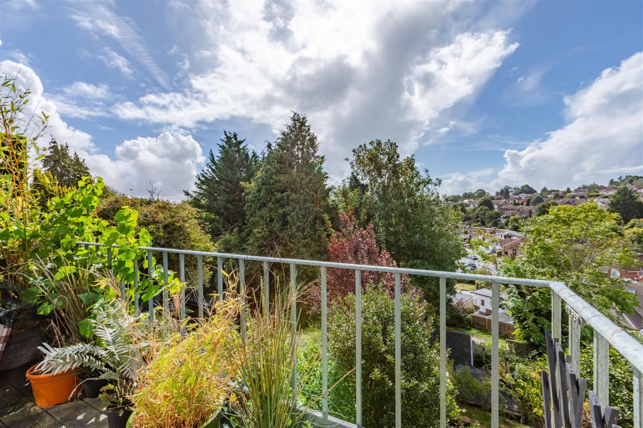Images for Bramble Rise, Brighton EAID:lextonsapi BID:1