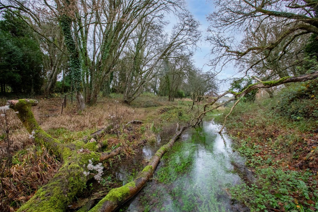 Images for Crypt Lane, Cocking, Midhurst EAID:lextonsapi BID:4