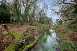 Images for Crypt Lane, Cocking, Midhurst