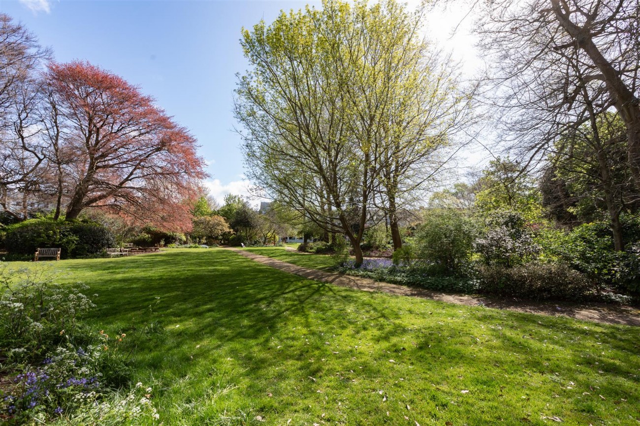 Images for Park Crescent, Brighton EAID:lextonsapi BID:1