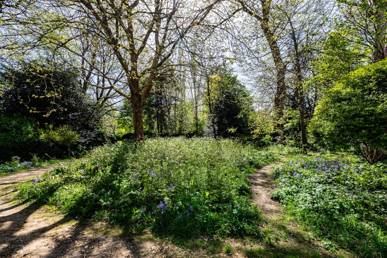 Images for Park Crescent, Brighton EAID:lextonsapi BID:1